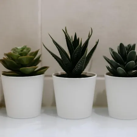 Διαμέρισμα Teresa *