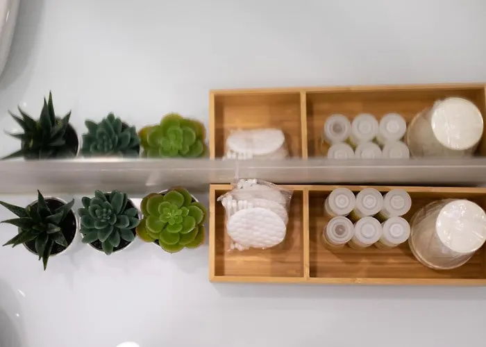 Teresa Vila Nova de Gaia